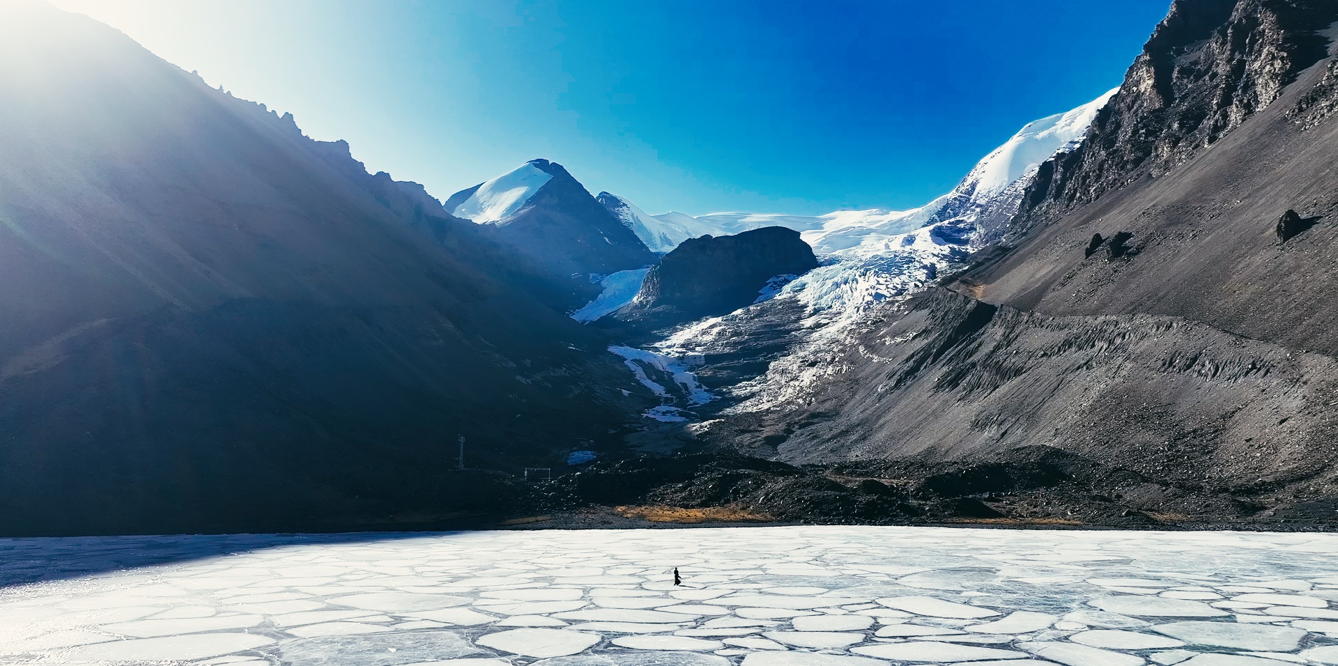 精诚合作，服务至上